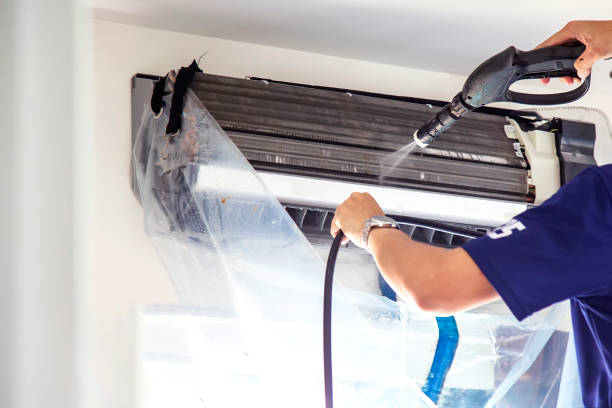 Best Affordable Duct Cleaning Services  in Braska City, NE