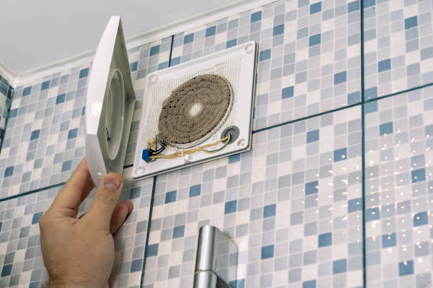 Best Commercial Air Duct Cleaning  in Braska City, NE