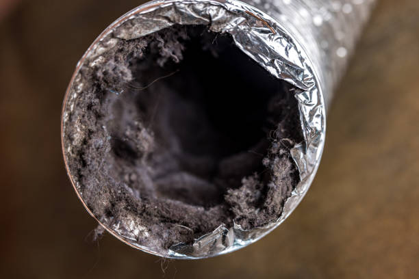 Best General Air Duct Cleaning  in Braska City, NE